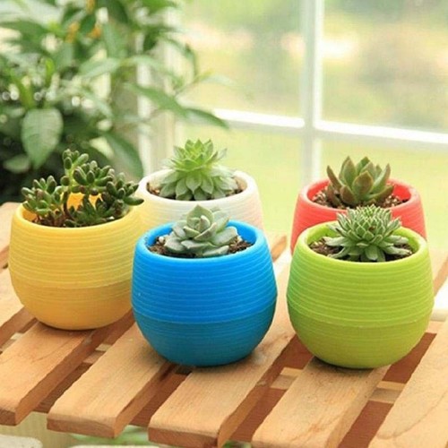 Petits pots de fleurs - 10*,