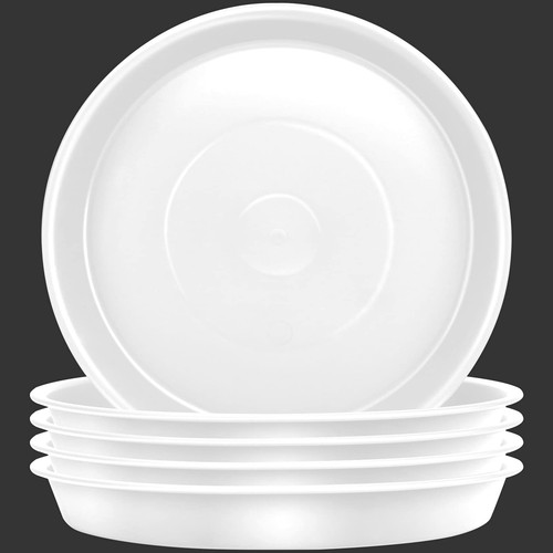 Lot soucoupes pour - 5,